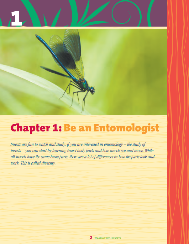 Teaming With Insects: Entomology Curriculum Level 1