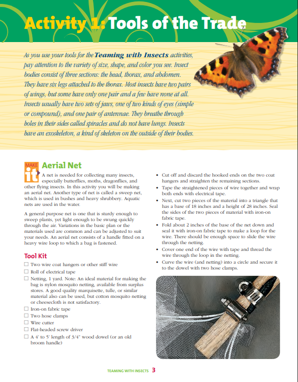 Teaming With Insects: Entomology Curriculum Level 2