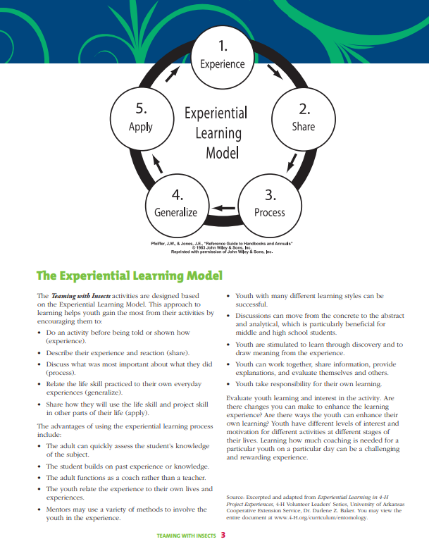Teaming With Insects: Entomology Curriculum Facilitator's Guide