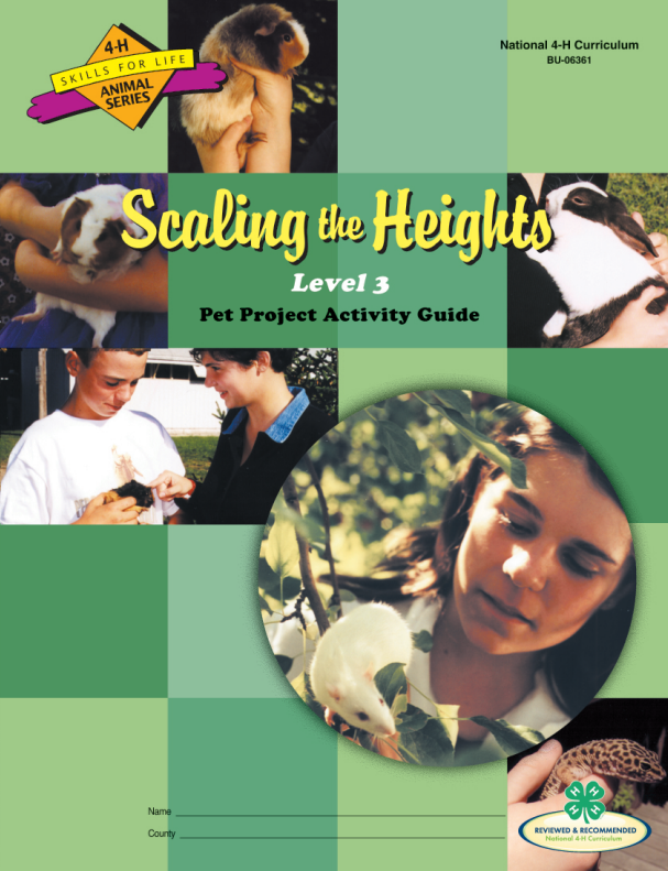 Pet Curriculum Level 3: Scaling the Heights