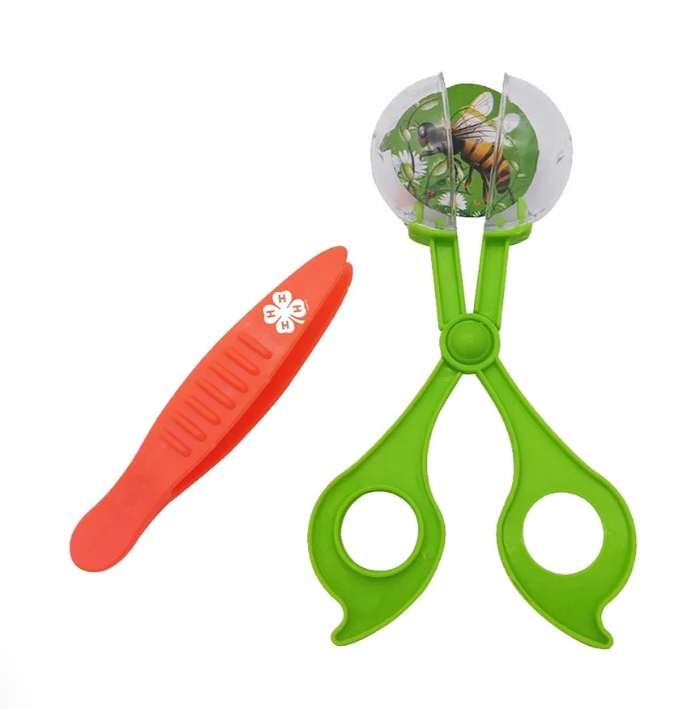 Bug Catcher Set w/ 4-H Clover Logo