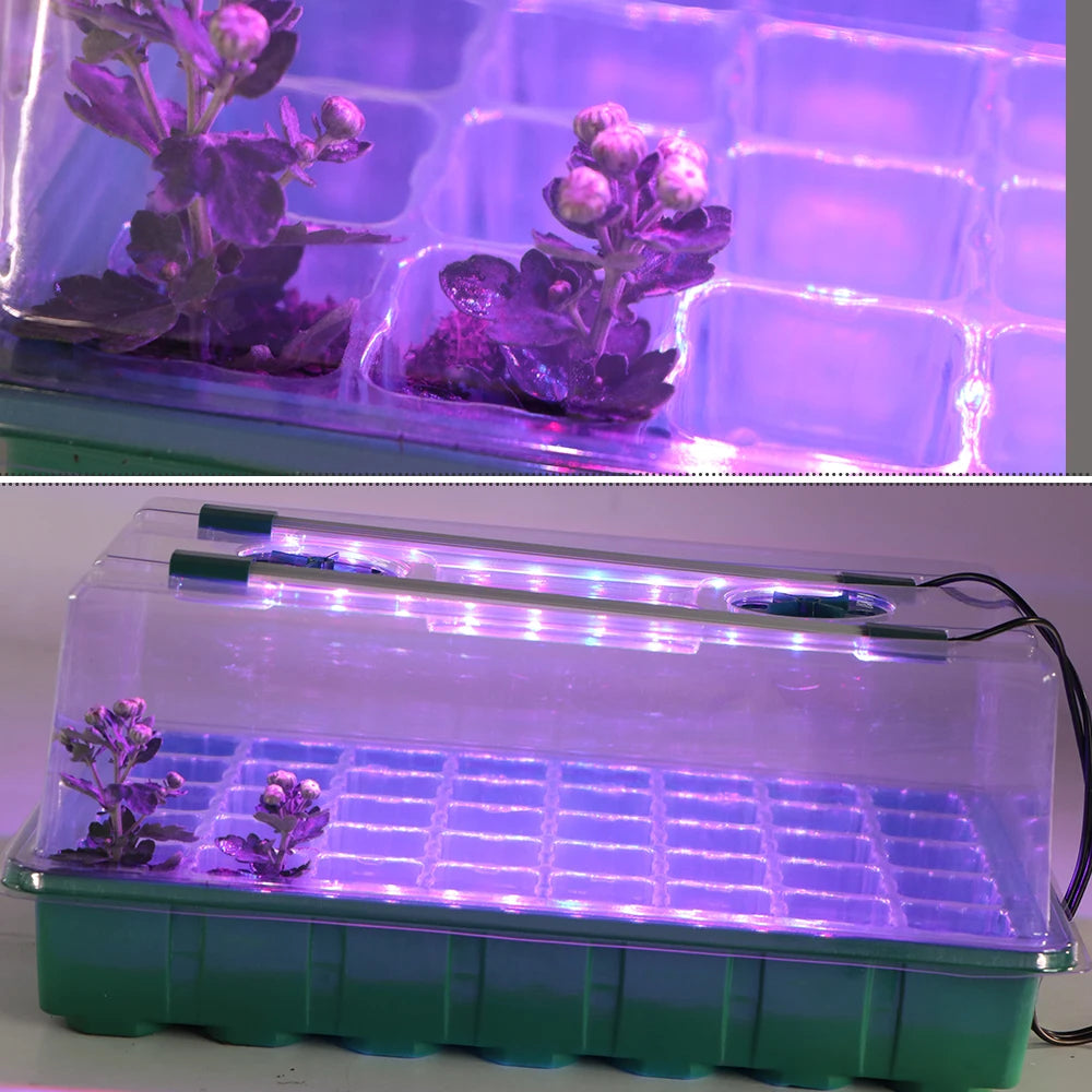 Seed Starter Tray 40/80 Cells with 2 Long Strip Grow Lights
