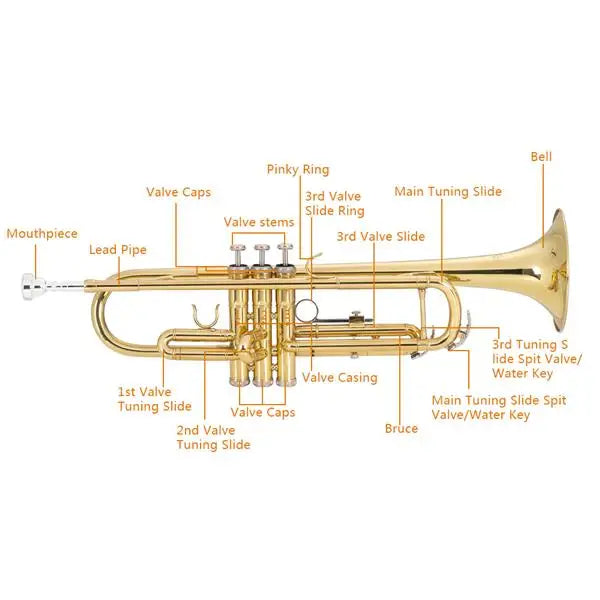 Brass Trumpet Bb with 7C Mouthpiece