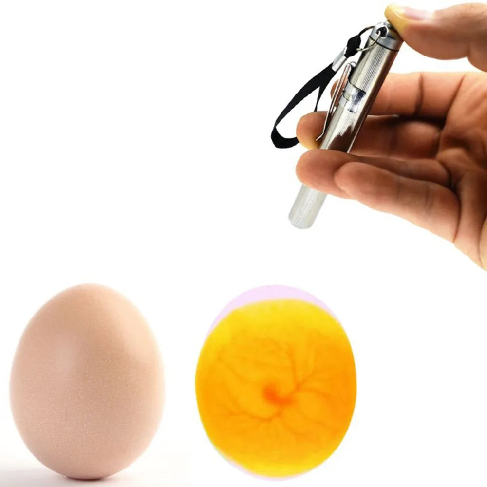 Egg Candler Tester, Bright Cool LED Light Candling Lamp for All Chicken Dark Quail or Duck Eggs
