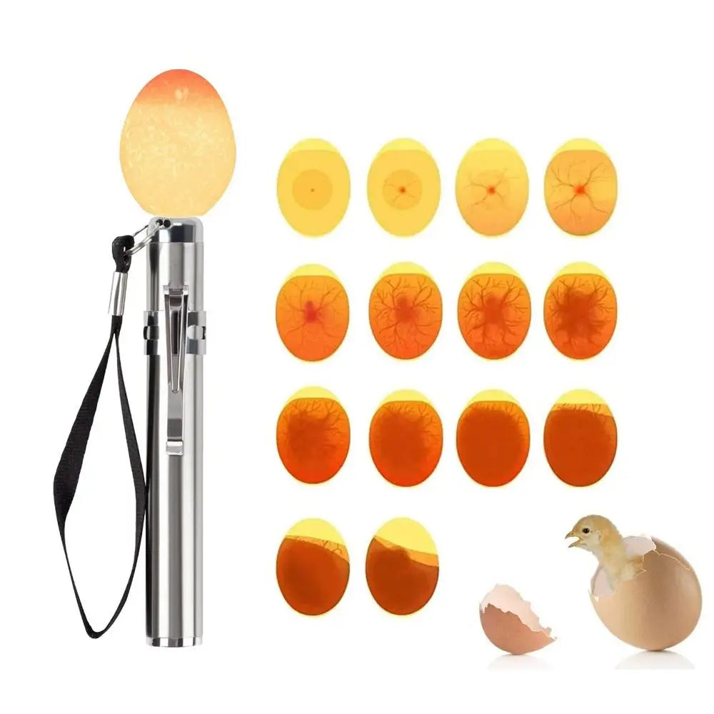 Egg Candler Tester, Bright Cool LED Light Candling Lamp for All Chicken Dark Quail or Duck Eggs