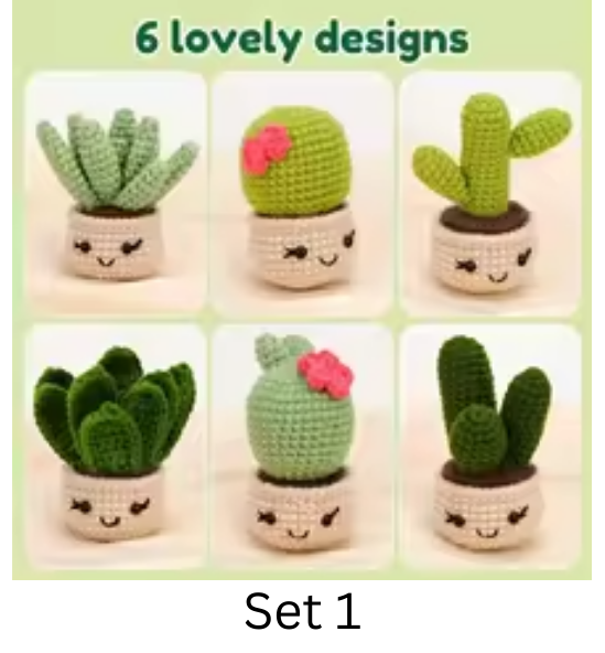 Flower Crochet Kit for Beginners