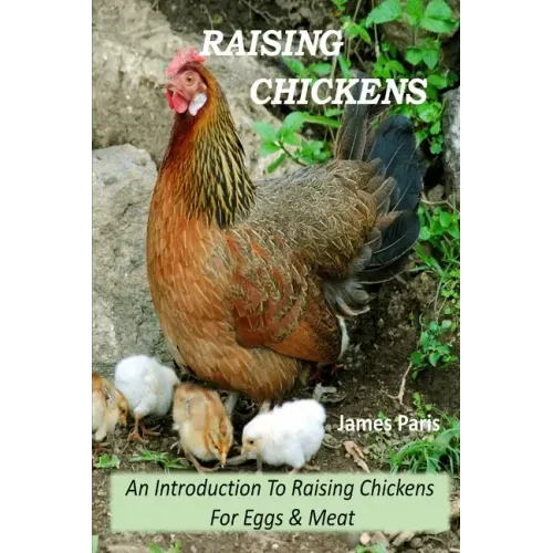 Raising Chickens - An Introduction To Raising Chickens For Eggs & Meat