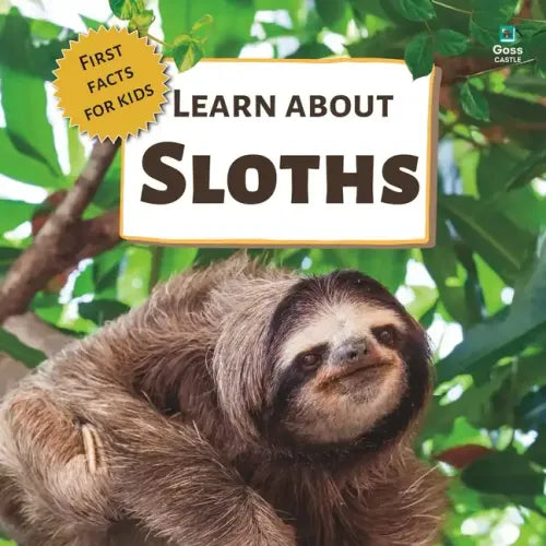 Learn About Sloths: First Facts for Kids