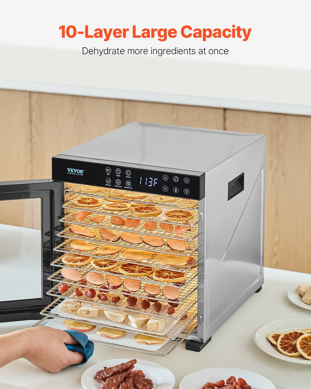 10 Trays Food Dehydrator Machine Stainless Steel 1000W Jerky Meat Fruit Drying
