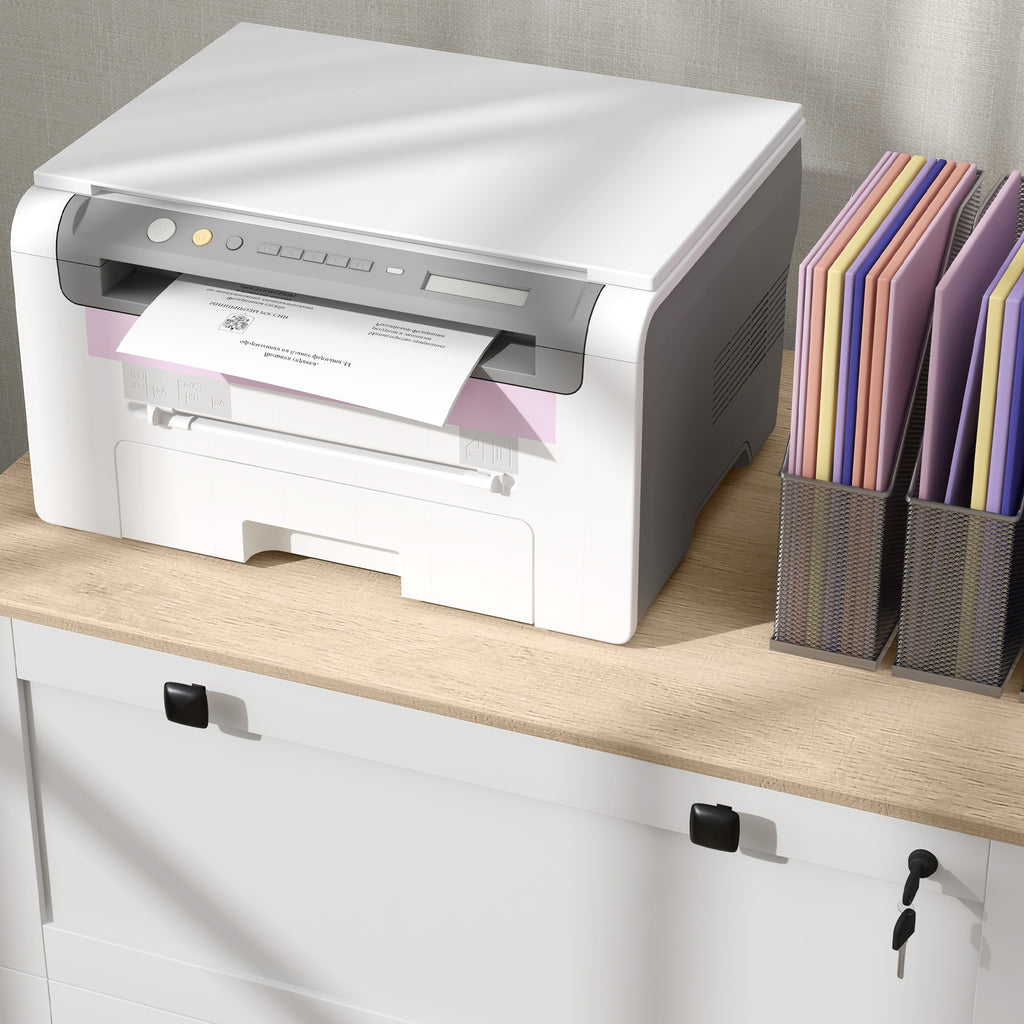 Lateral File Cabinet, 2 Drawer Filing Cabinet, White