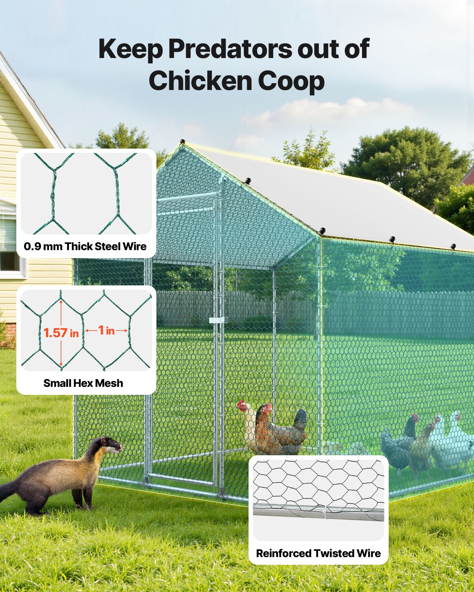 Metal Chicken Coop, 6.56x6.56x6.56ft