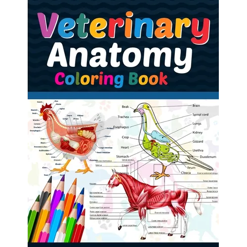 Veterinary Anatomy Coloring Book: Veterinary Anatomy Coloring Book For Medical, High School Students. Anatomy Coloring Book for kids. Veterinary Anato