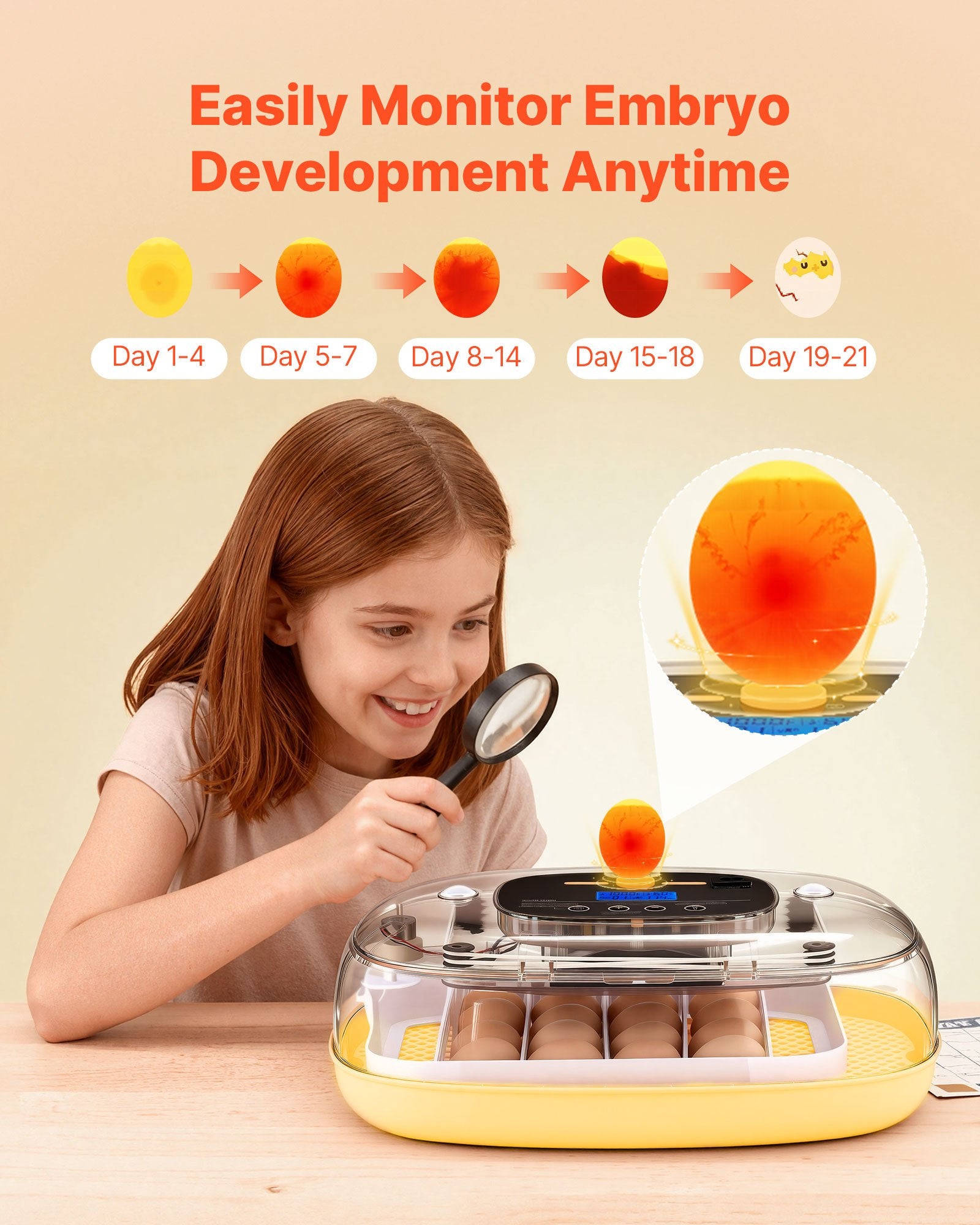 24 Egg Incubator, Automatic Egg Turner With LED Candler