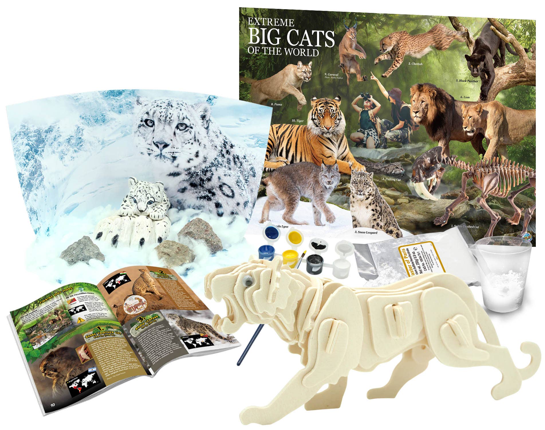 Extreme Big Cats of the World