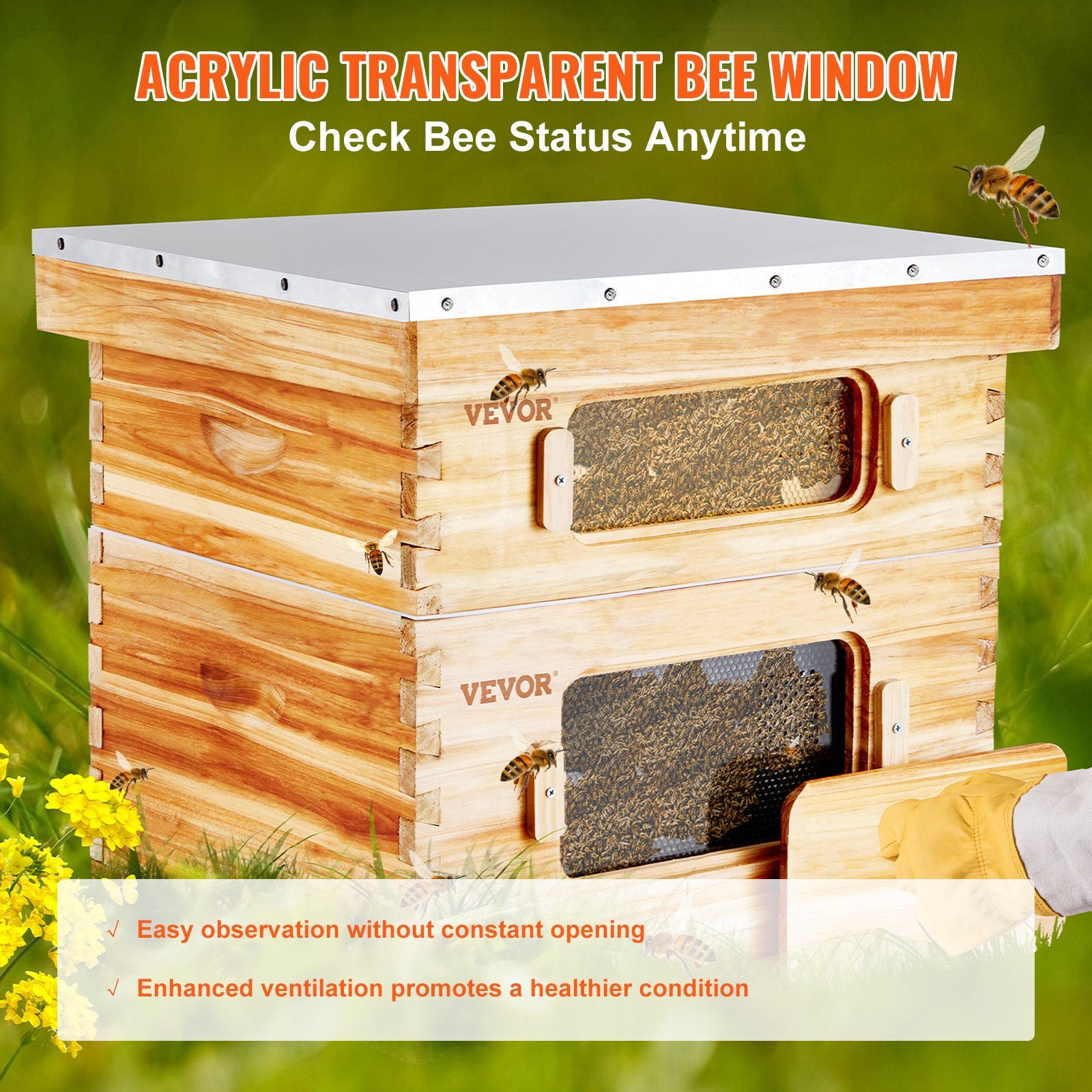 20 Frame Bee Hives Starter Kit