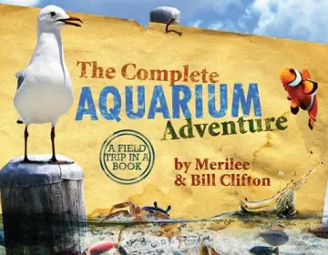 Elementary Zoology (Revised - Curriculum Pack) Grades 4-6