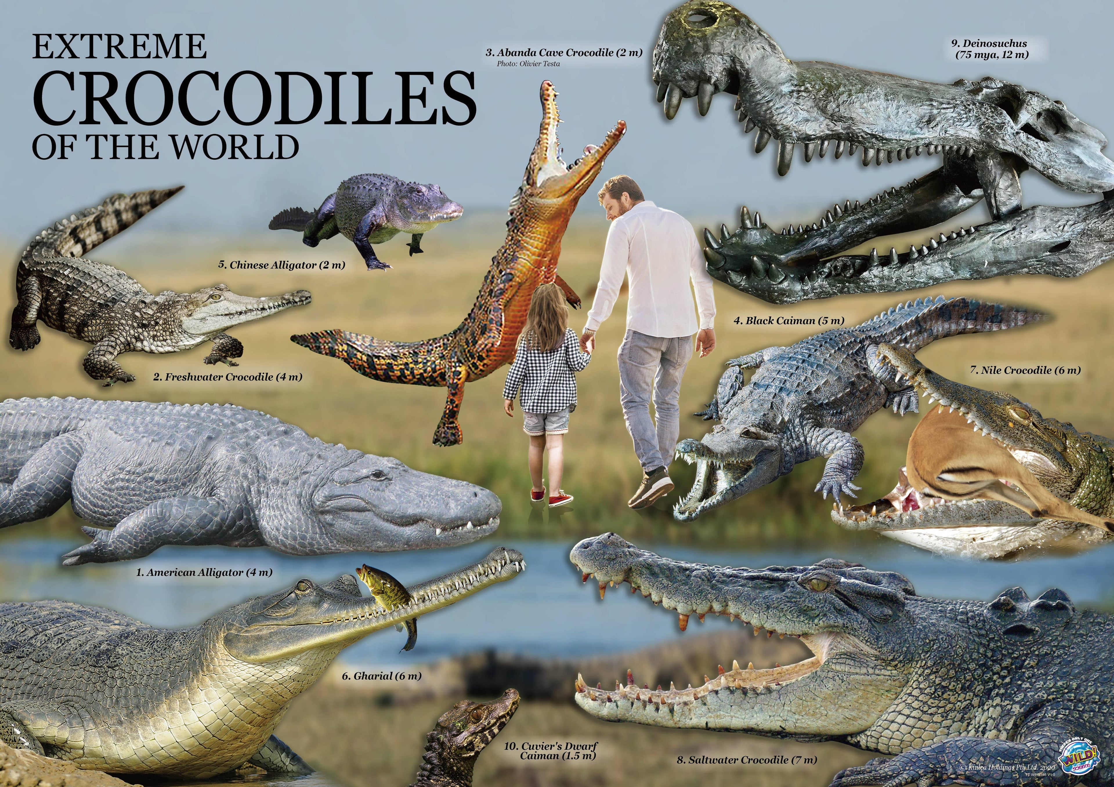 Extreme Crocodiles of the World