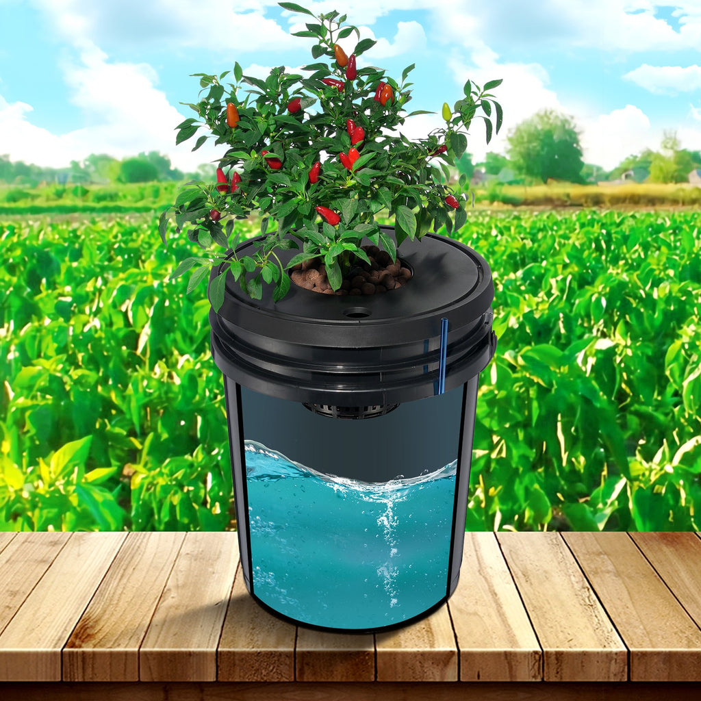 DWC Hydroponic System, 5 Gallon 4 Buckets