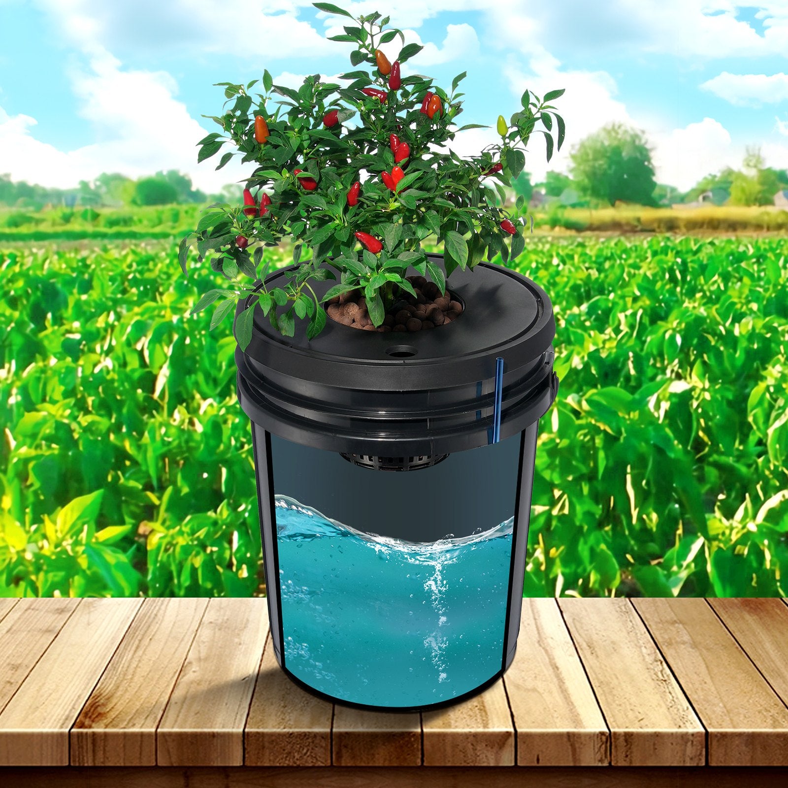 DWC Hydroponic System, 5 Gallon 4 Buckets