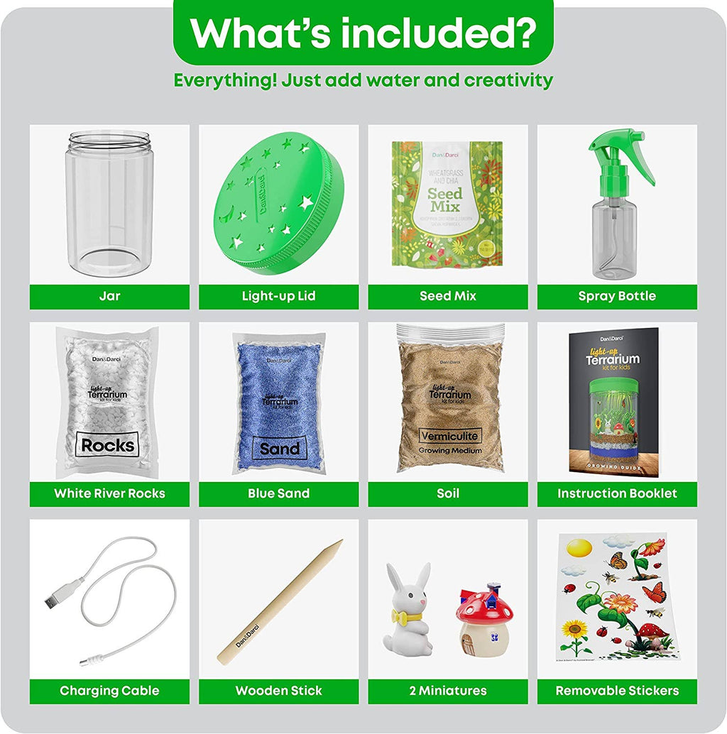 Light-Up Terrarium Kit STEM Project