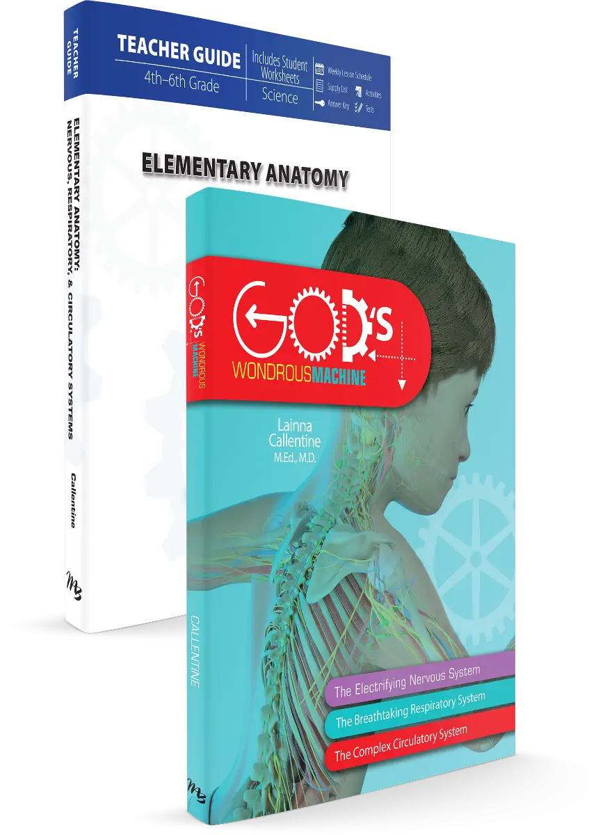 Elementary Anatomy: Nervous, Respiratory, and Circulatory Systems (Set) Grades 4-6