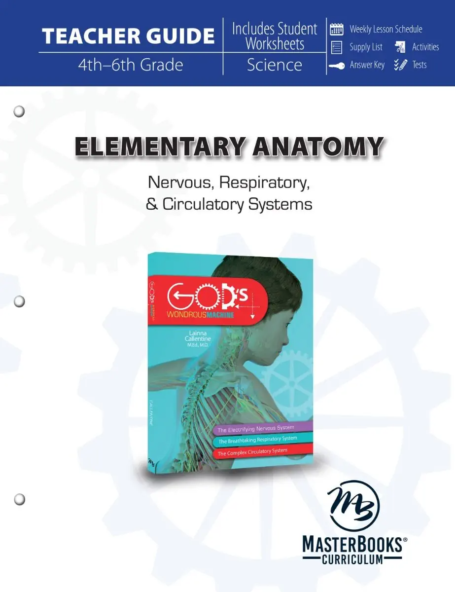 Elementary Anatomy: Nervous, Respiratory, and Circulatory Systems (Set) Grades 4-6