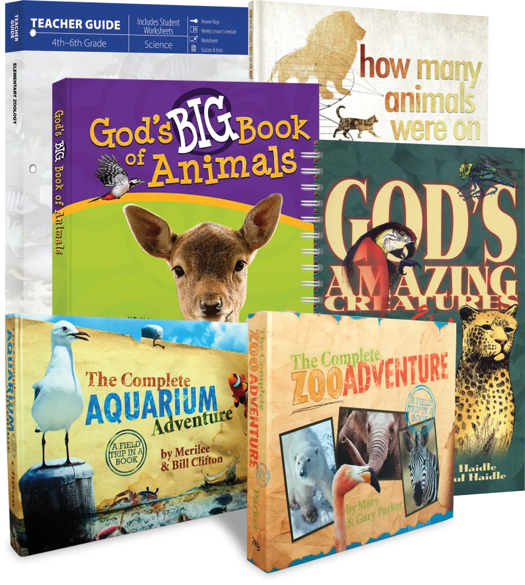 Elementary Zoology (Revised - Curriculum Pack) Grades 4-6