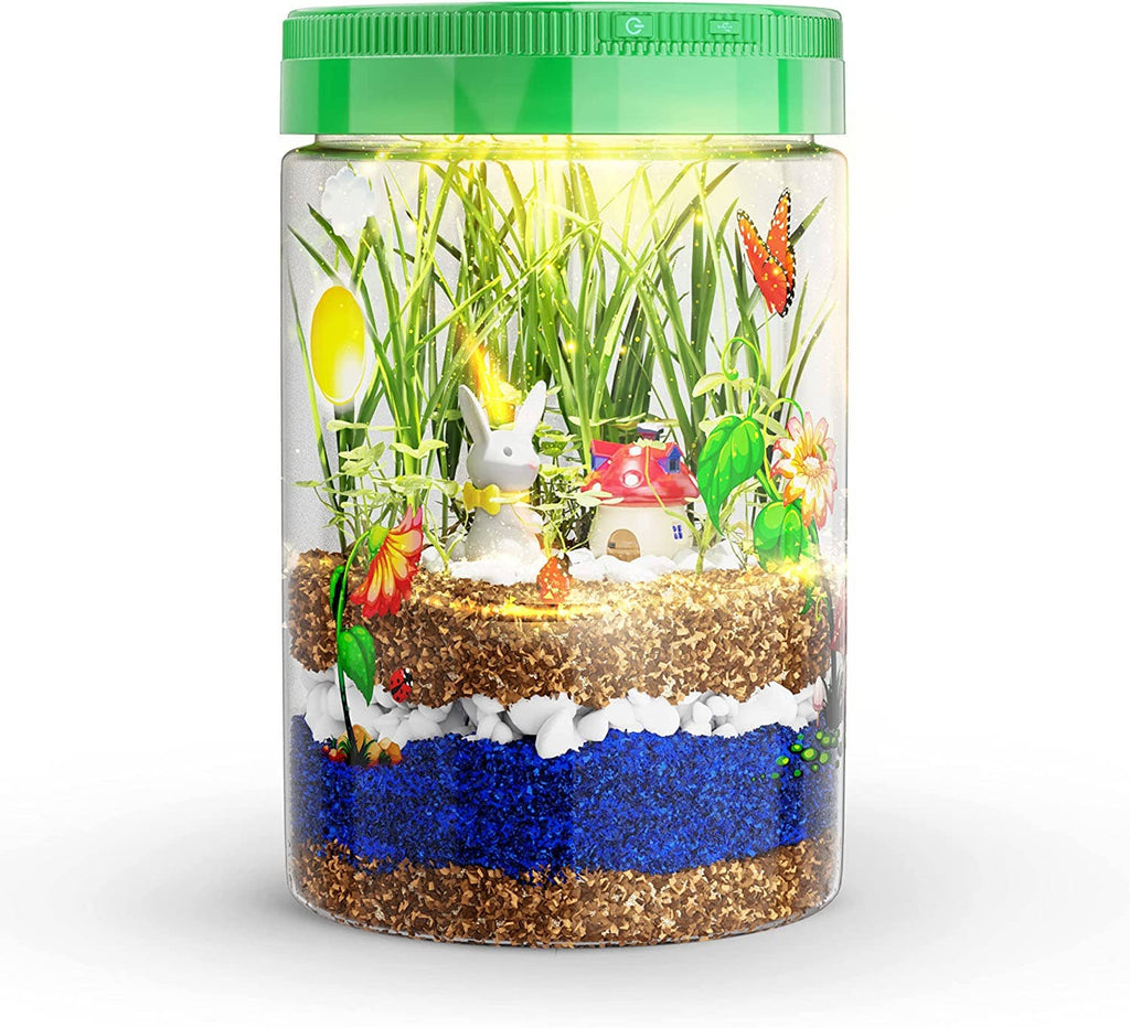 Light-Up Terrarium Kit STEM Project