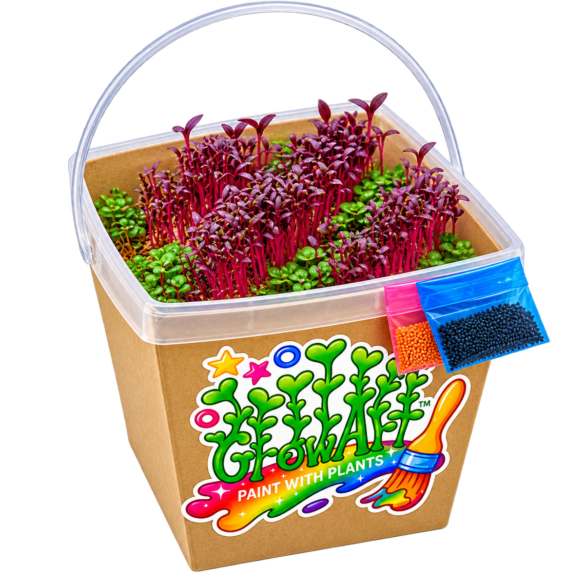 GrowArt™ Grow-Your-Own Seed Art Kit — Edible Microgreens Craft for Kids