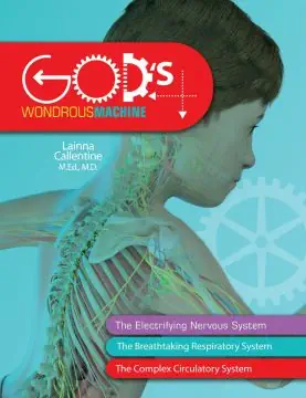 Elementary Anatomy: Nervous, Respiratory, and Circulatory Systems (Set) Grades 4-6