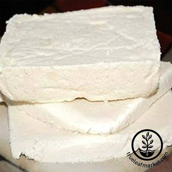 Tofu Kit