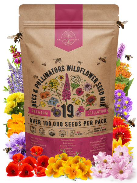 wildflower seed sprouts 19 Bee Mix Wildflower Seeds Mix