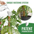 Moss Pole Monstera Plant Support Stakes