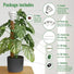 Moss Pole Monstera Plant Support Stakes