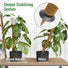 Moss Pole Monstera Plant Support Stakes