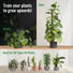 Moss Pole Monstera Plant Support Stakes