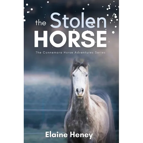 The Stolen Horse - Book 4 in the Connemara Horse Adventure Series for Kids The Perfect Gift for Children age 8-12 - Paperback