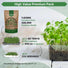 Arugula Sprouting & Microgreens Seeds 1lb