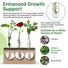 Plant Propagation Station