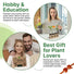 Plant Propagation Station