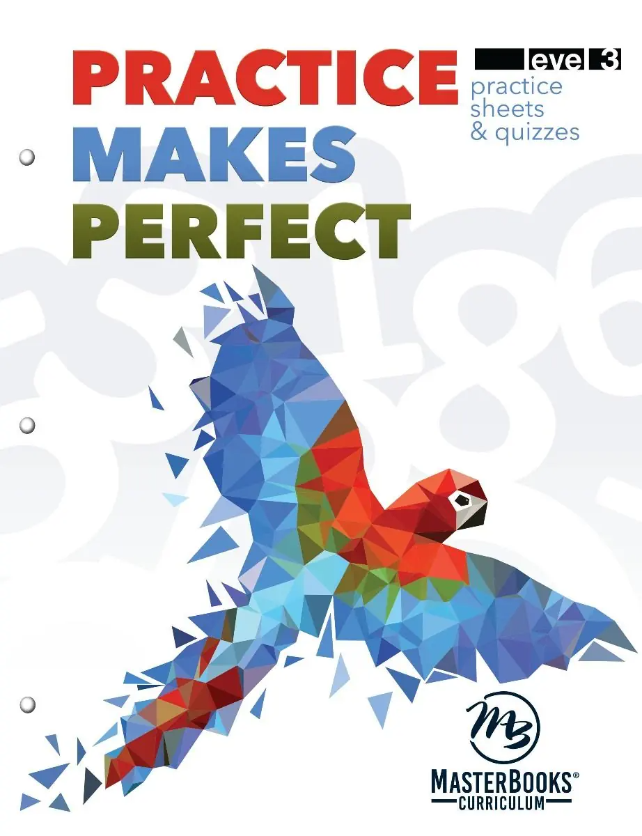 Practice Makes Perfect: Level 3 | Grade 3