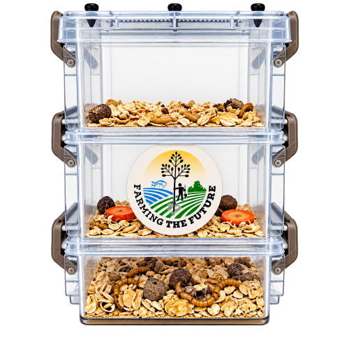 3-Tier Classroom Mealworm Farm — Complete Metamorphosis Life Cycle Kit for Schools